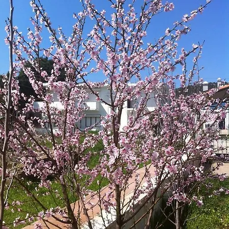 Camlik Villalari Villa Ayvalik